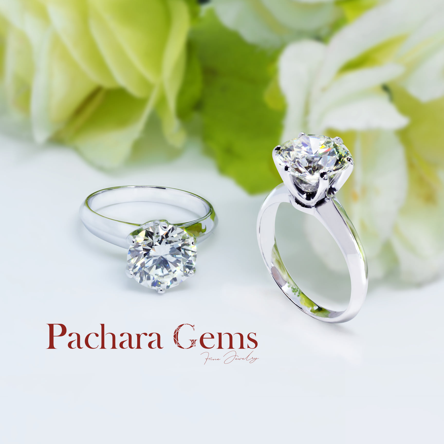 พชร เจมส์ (Pachara Gems)