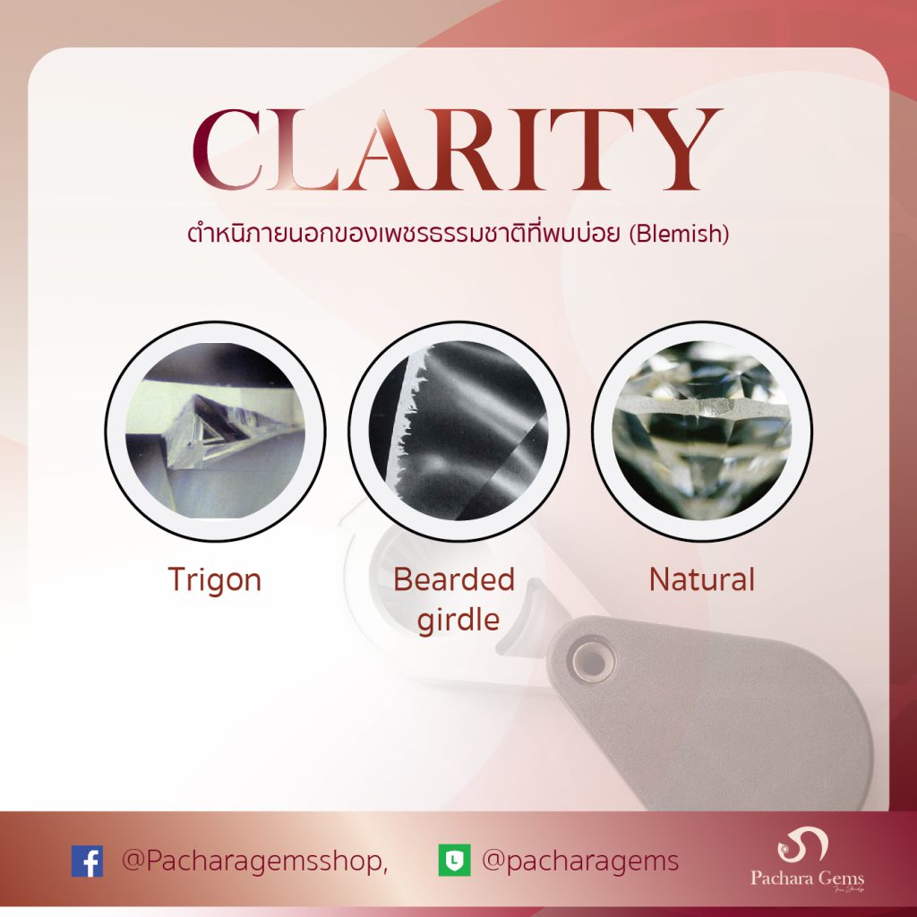 Clarity - ซื้อเพชรให้เป็น ดูยังไง - Pachara Gems